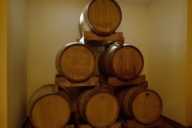 Wine Experience in Chianti Hills From Florence - Customer Reviews