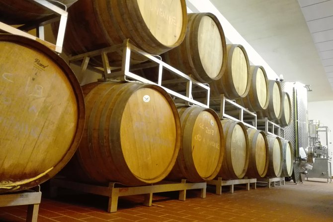 Wine Experience in Chianti Hills From Florence - The Sum Up