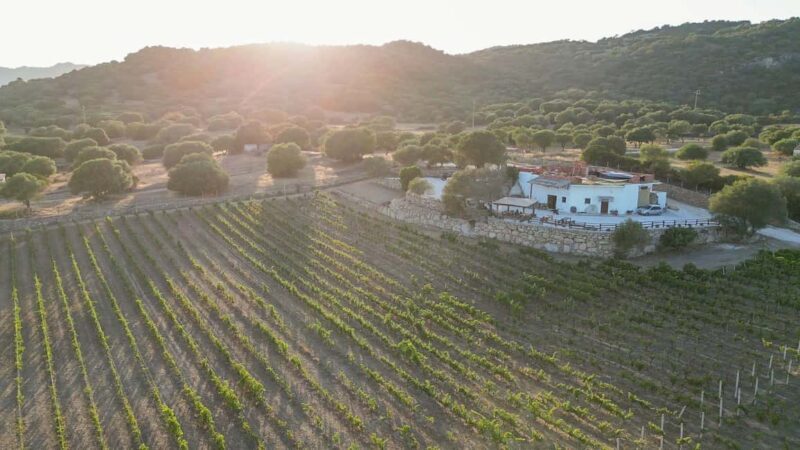 Wine experience in Dorgali in the heart of the Cannonau Classic Zone - Final Thoughts