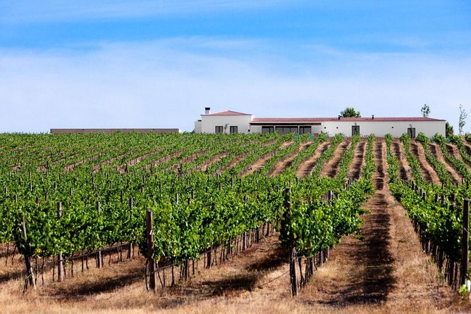 Wine Experience in Evora - Pickup Information