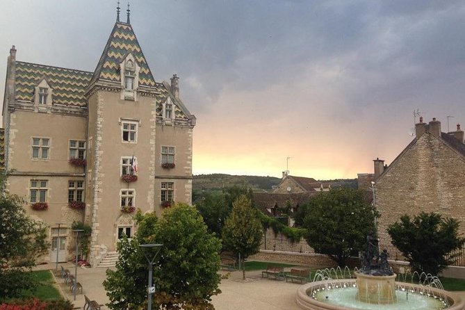Wine Experience in Meursault - What To Expect