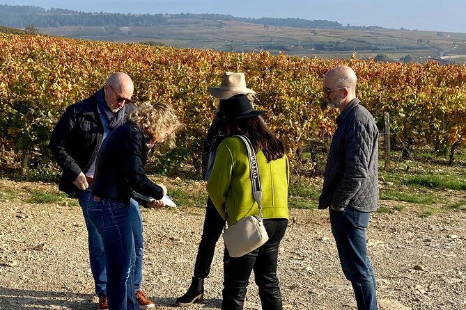 Wine Experience in Meursault - Booking and Contact Information