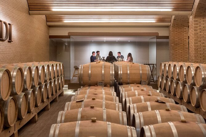 Wine Experience in the Romantic Town of Rioja - Top Wineries to Visit in Rioja