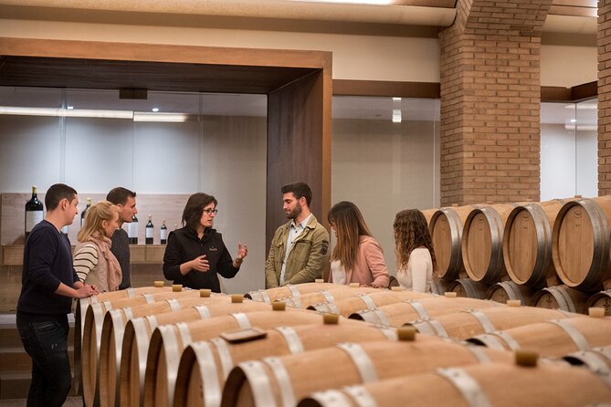 Wine Experience in the Romantic Town of Rioja - Tips for Planning Your Wine Tour in Rioja