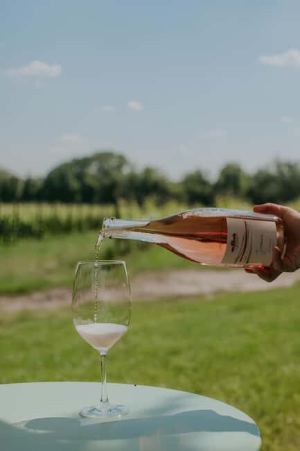 WINE EXPERIENCE - Le Vie Angarano winery - Discovering Le Vie Angarano: A Genuine Wine Experience in Veneto