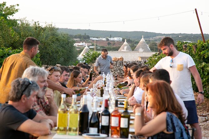 Wine Experience: Vineyard, Wines and Food - Vineyard Tour