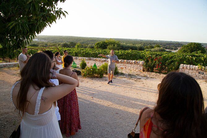 Wine Experience: Vineyard, Wines and Food - Memorable Experiences