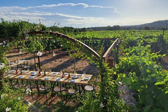 Wine Experience: Vineyard, Wines and Food - Common Questions