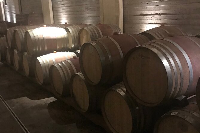 Wine Gems of Greece - Wine Tasting Experience - Wine Tasting Etiquette in Greece