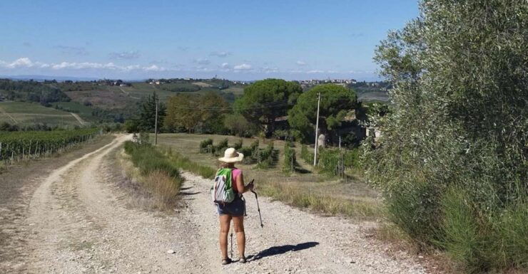 Wine Hiking: Sip and Trek - Price and Duration