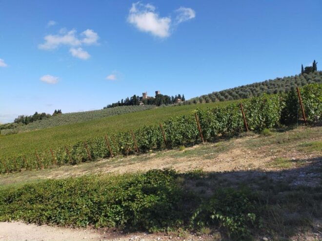 Wine Hiking: Sip and Trek - Frequently Asked Questions