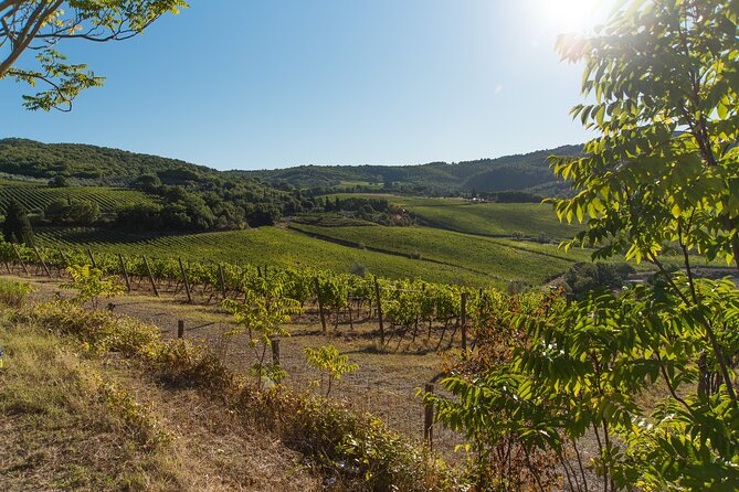 Wine Hiking Sip & Trek - Guide Insights