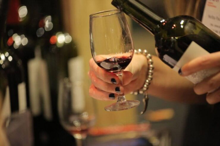 Wine Idols: Meet El Enemigo by Vigil & El Trapiche Winery - Good To Know