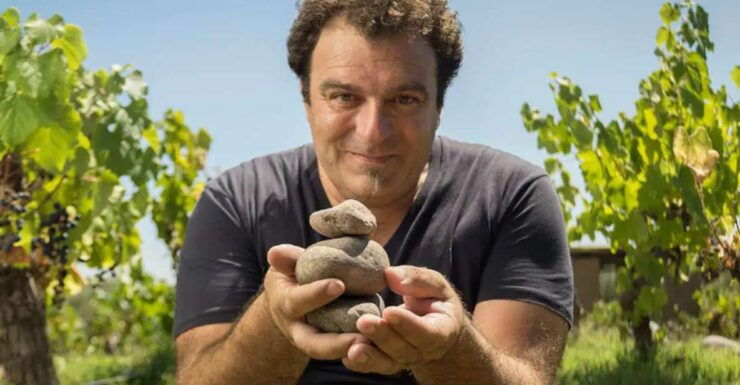 Wine Idols: Meet El Enemigo by Vigil & El Trapiche Winery - Tour Details