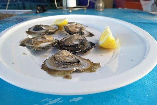 WINE KINGDOM PELJESAC From Dubrovnik - Tour Highlights