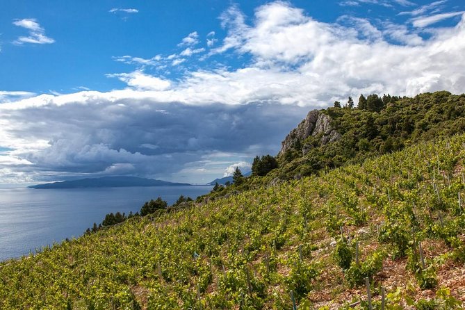 Wine Lovers Tour From Dubrovnik - Tour Highlights