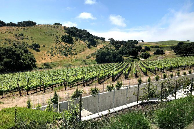 Wine Lovers Tour from Santa Barbara Area - Pricing and Value for Money