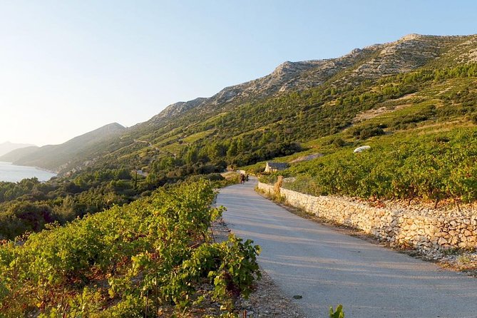 Wine Lovers Tour of Peljesac Peninsula - Tour Overview