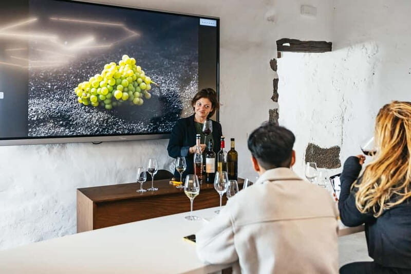 Wine Lovers: Wine Tasting Tour at El Grifo Bodega Lanzarote - What to Expect from the El Grifo Wine Tasting Tour