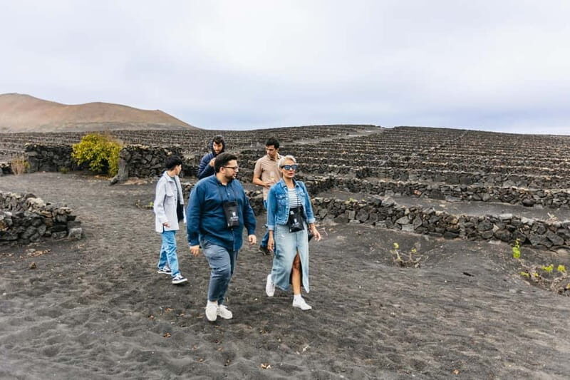 Wine Lovers: Wine Tasting Tour at El Grifo Bodega Lanzarote - Who Will Love This Tour?