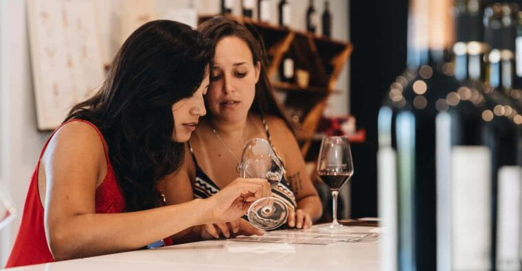 Wine Masterclass & Cheese Tasting Workshop in Bordeaux - Learning Objectives