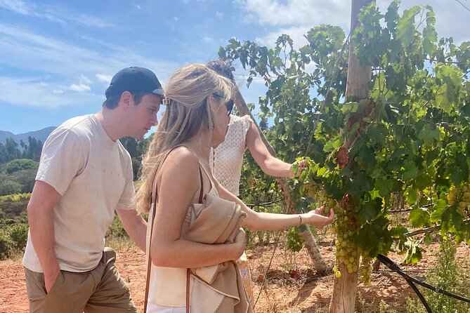Wine Not? Tour Full Day From Lisbon to Arrábida Natural Park - Winery Visits