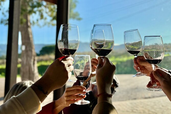 Wine Not? Tour Full Day From Lisbon to Arrábida Natural Park - Beach Experience