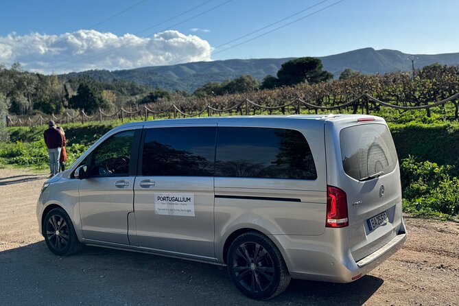 Wine Not? Tour Full Day From Lisbon to Arrábida Natural Park - Language Assistance