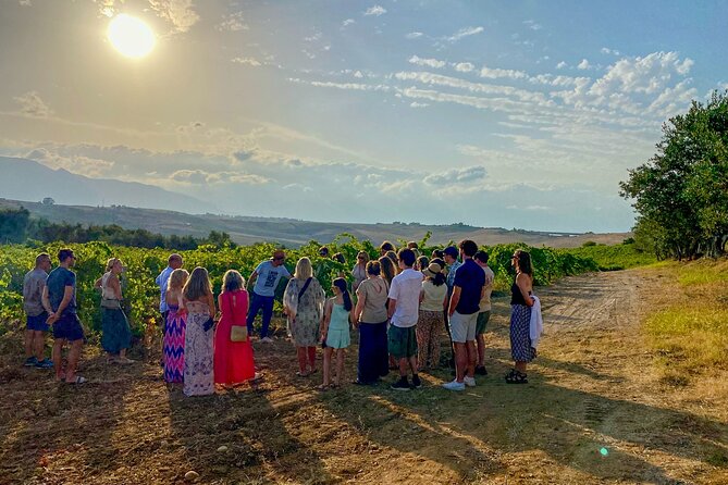 Wine, Oil, and Honey Tasting From Alcamo and Castellammare Del Golfo - Tour Itinerary Highlights