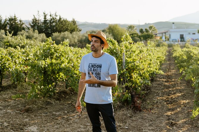 Wine, Oil, and Honey Tasting From Alcamo and Castellammare Del Golfo - Cancellation Policy and Guarantees