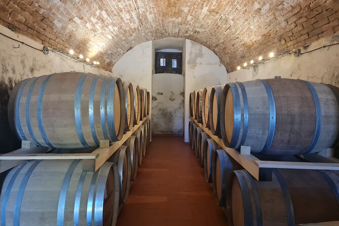 Wine & Oil Tasting Experience - Reviews and Photos