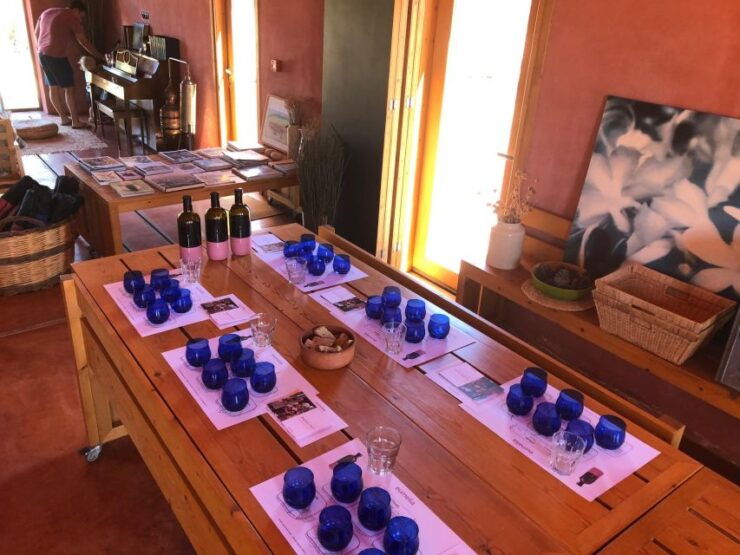 Wine & Olive Oil Tasting in an Organic Farm Laconia, Greece - Activity Details