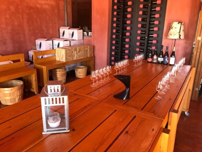 Wine & Olive Oil Tasting in an Organic Farm Laconia, Greece - Extra Experiences