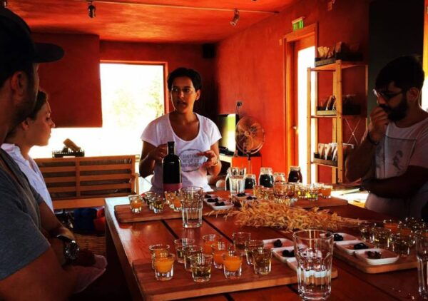Wine & Olive Oil Tasting in an Organic Farm Laconia, Greece - Directions