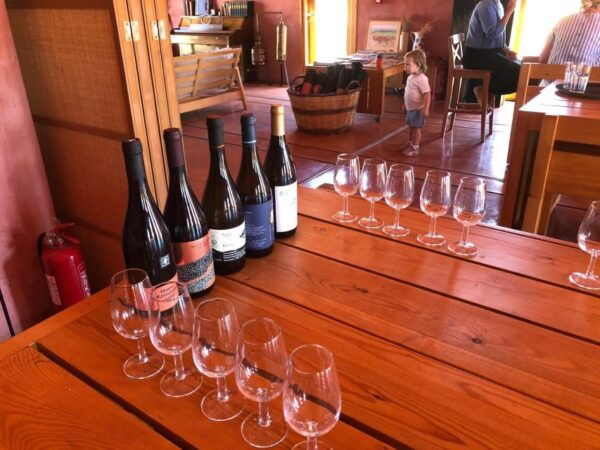 Wine & Olive Oil Tasting in an Organic Farm Laconia, Greece - Frequently Asked Questions