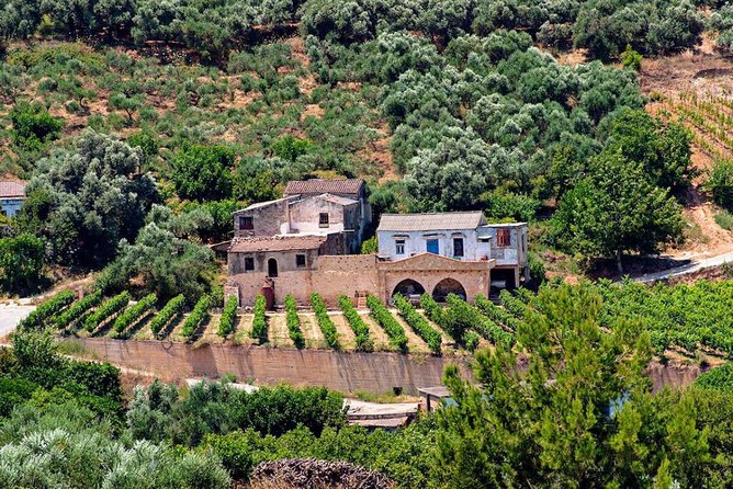 Wine & Olive Oil Tasting One Day Private Tour in Crete - Private Day Tour in Crete