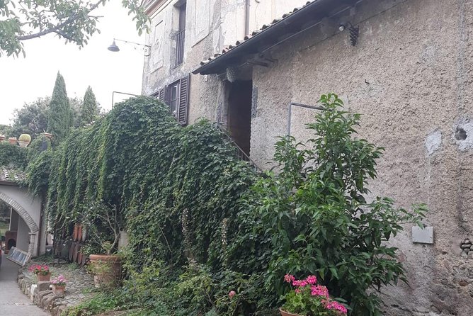 Wine Oliveoil Tasting Light Lunch From Rome Private Tour - Inclusions and Amenities