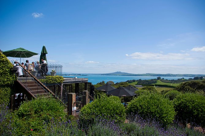 WINE on Waiheke PREMIUM WINE Full Days Scenic and WINE Tasting - Reviews