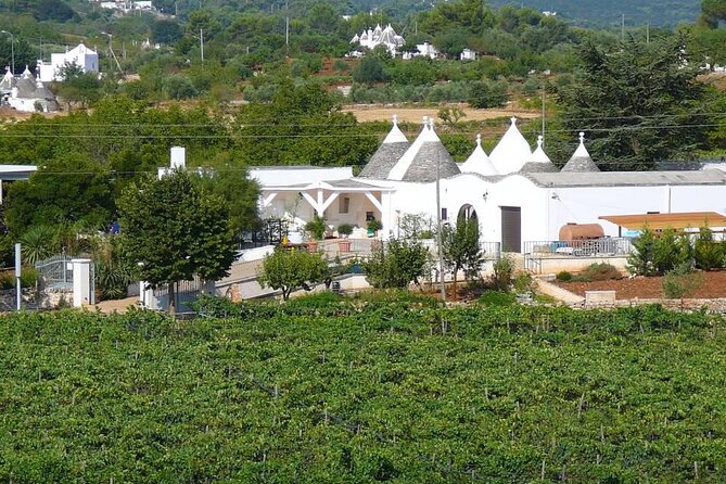 Wine Ostuni, Tour of an Apulian Winery With Traditional Lunch or Aperitivo - Additional Information