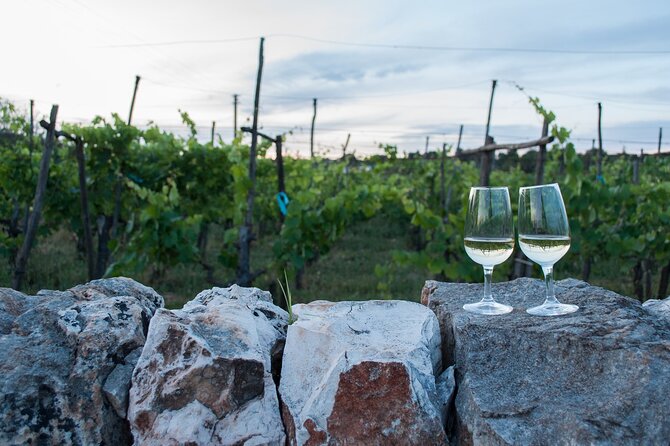 Wine Ostuni, Tour of an Apulian Winery With Traditional Lunch or Aperitivo - The Sum Up