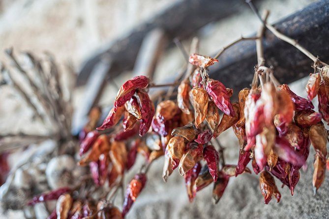 Wine Ostuni, Tour of an Apulian Winery With Traditional Lunch or Aperitivo - Common Questions