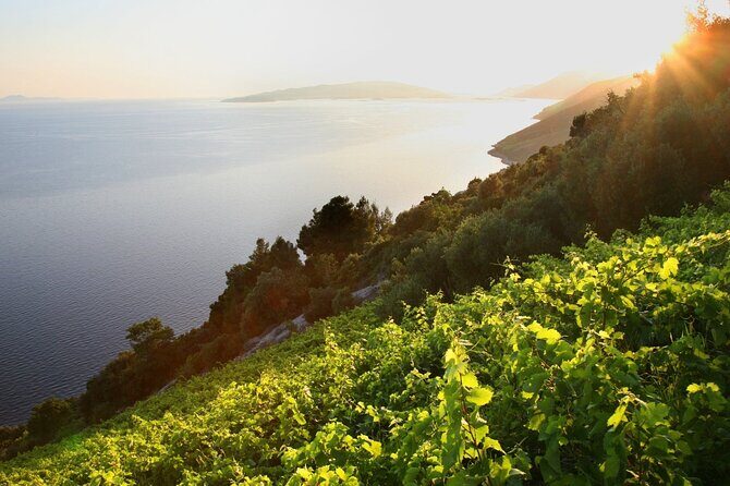 Wine & Oysters & AUTHENTIC boat tour with GOURMET LUNCH in price - Frequently Asked Questions