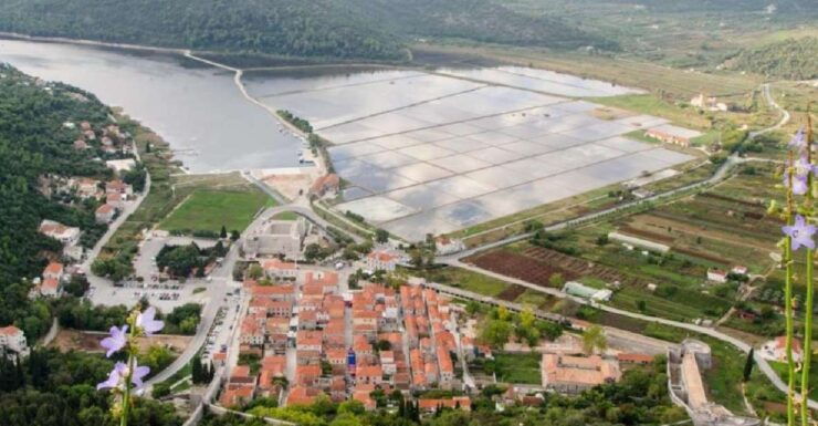 Wine & Oysters Tasting - PelješAc Peninsula - Booking Details