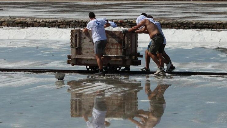 Wine & Oysters Tasting - PelješAc Peninsula - Experience Highlights
