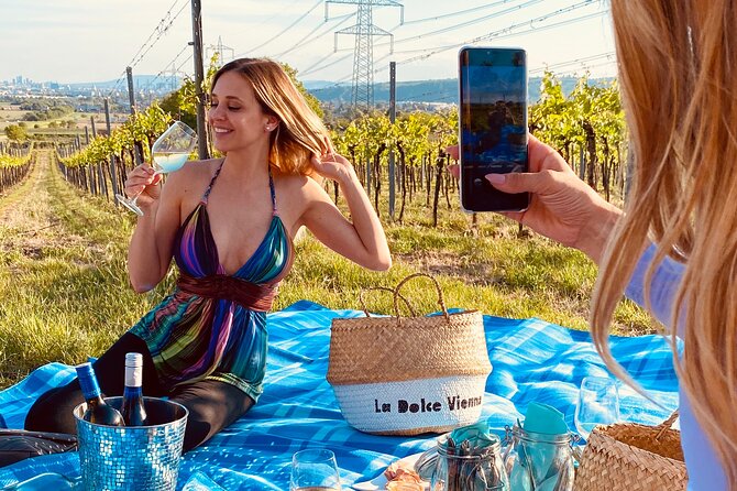 Wine Picknick Overlocking Vienna - Wine Tasting Experiences in Vienna