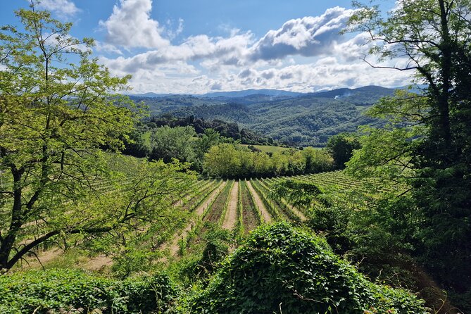 Wine Private Tours in Chianti Country of Tuscany 5 Hours Half Day - Important Details