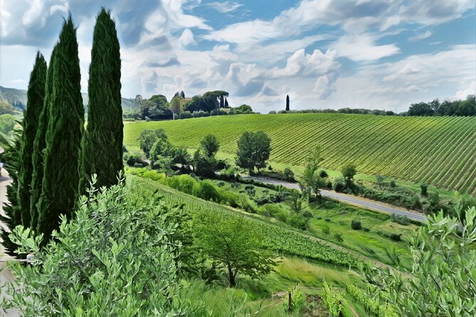 Wine Private Tours in Chianti Country of Tuscany 5 Hours Half Day - Pricing and Reservation