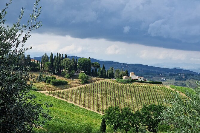Wine Private Tours in Chianti Country of Tuscany 5 Hours Half Day - Frequently Asked Questions