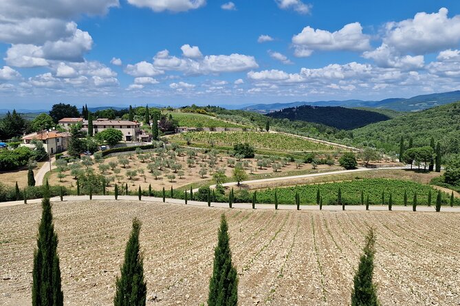 Wine Private Tours in Chianti Country of Tuscany 5 Hours Half Day - The Sum Up