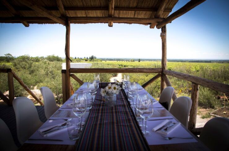 Wine Road Trip: 3 Wineries in Uco Valley - Full Day - Winery 2: Vineyard Name & Tasting